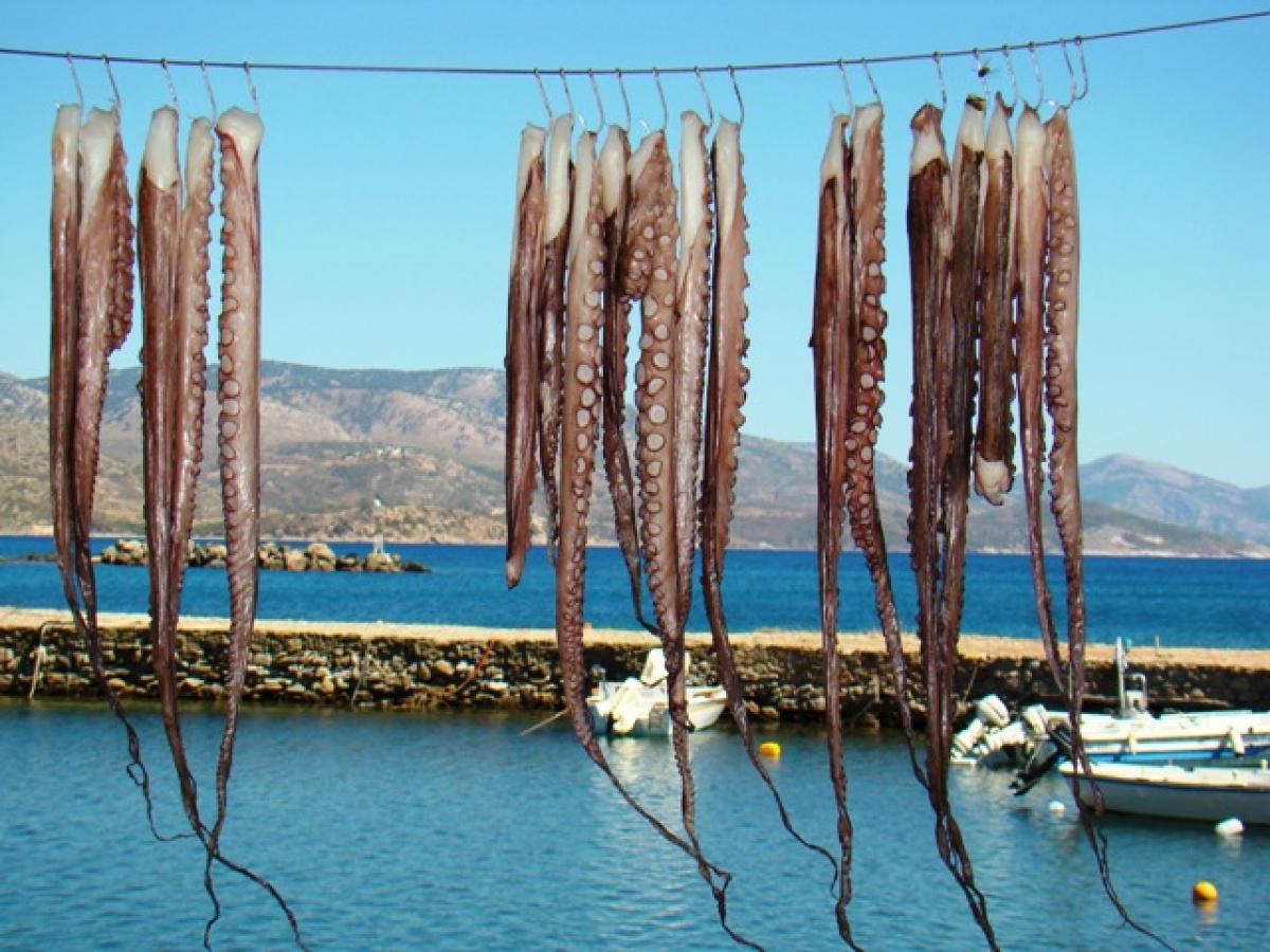&Gamma;&epsilon;ύ&sigma;&epsilon;&iota;&sigmaf; &Nu;&eta;&sigma;&iota;ώ&nu;