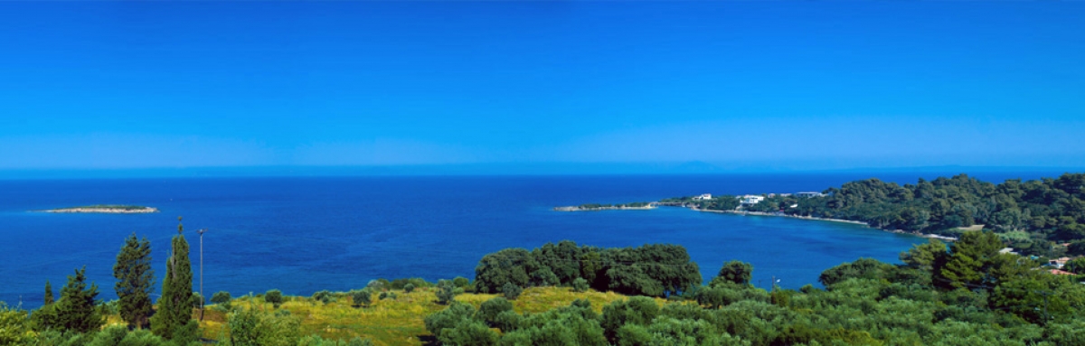 &Delta;&upsilon;&tau;&iota;&kappa;ή &Pi;&epsilon;&lambda;&omicron;&pi;ό&nu;&nu;&eta;&sigma;&omicron;&sigmaf;/&nu;&omicron;&mu;ό&sigmaf; &Eta;&lambda;&epsilon;ί&alpha;&sigmaf;